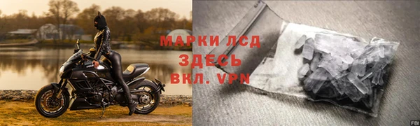 эйфоретик Баксан