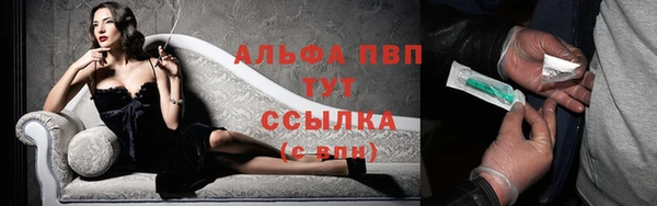 эйфоретик Баксан