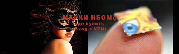 эйфоретик Баксан