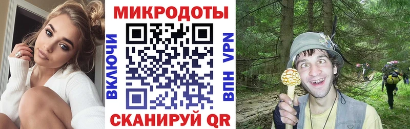 купить  цена  blacksprut зеркало  Галлюциногенные грибы Cubensis  Борисоглебск 