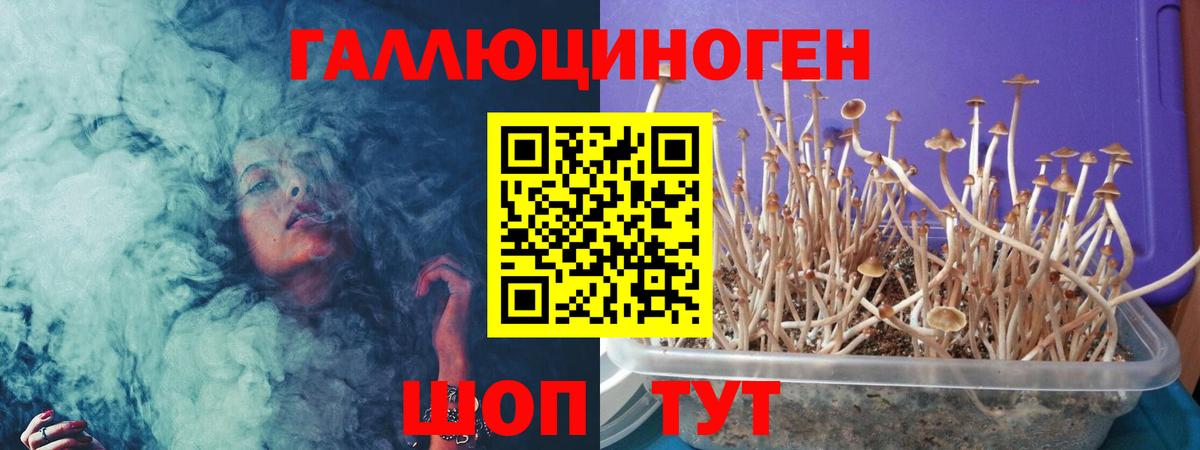 где продают   Вход с VPN  Борисоглебск  Псилоцибиновые грибы Magic Shrooms  Галлюциногенные грибы Cubensis 